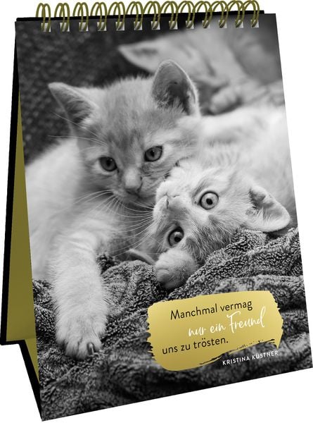 Produktbild: Goldene Katzenweisheiten