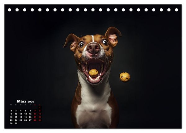 Produktbild: Leckerchen! (Tischkalender 2026 DIN A5 quer), CALVENDO Monatskalender