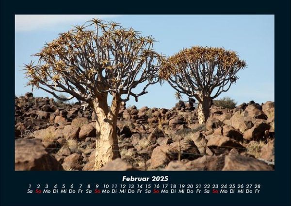Produktbild: B&auml;ume 2025 Fotokalender DIN A4