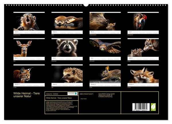 Produktbild: Wilde Heimat - Tiere unserer Natur (hochwertiger Premium Wandkalender 2026 DIN A2 quer), Kunstdruck in Hochglanz