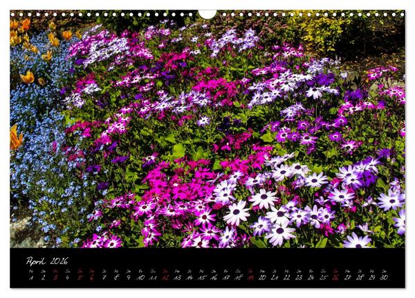 Produktbild: Butchart Gardens 2026 (Wandkalender 2026 DIN A3 quer), CALVENDO Monatskalender