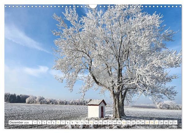 Produktbild: B&auml;ume im Altm&uuml;hltal (Wandkalender 2026 DIN A3 quer), CALVENDO Monatskalender
