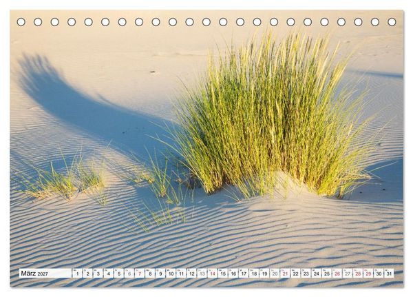 Produktbild: Amrum. Natur und Landschaften (Tischkalender 2027 DIN A5 quer), CALVENDO Monatskalender