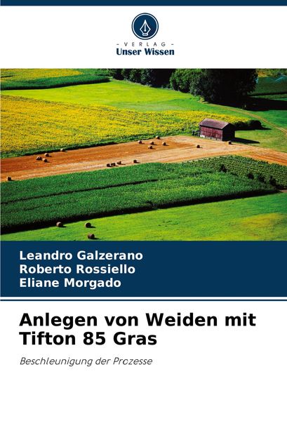 Anlegen von Weiden mit Tifton 85 Gras