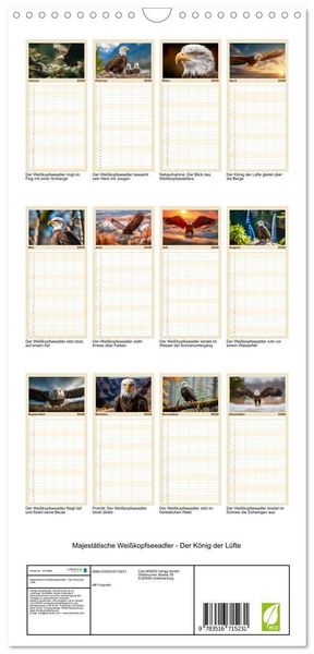 Produktbild: Familienplaner 2026 - Majest&auml;tische Wei&szlig;kopfseeadler - Der K&ouml;nig der L&uuml;fte mit 5 Spalten (Wandkalender, 21 x 45 cm) CALVENDO