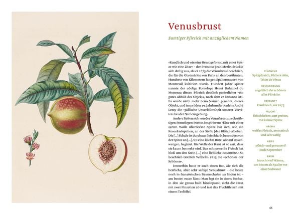 Die alten Obstsorten