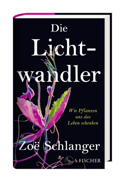 Produktbild: Die Lichtwandler