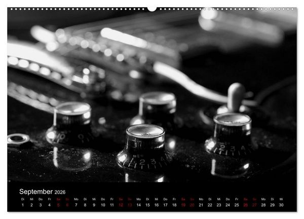 Produktbild: Regelwerke - Details alter E-Gitarren (hochwertiger Premium Wandkalender 2026 DIN A2 quer), Kunstdruck in Hochglanz