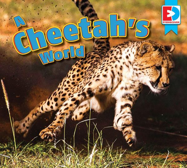 Produktbild: A Cheetah's World