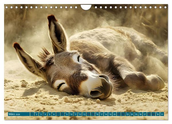 Produktbild: Plitsch, Platsch, tierisch nass (Wandkalender 2026 DIN A4 quer), CALVENDO Monatskalender