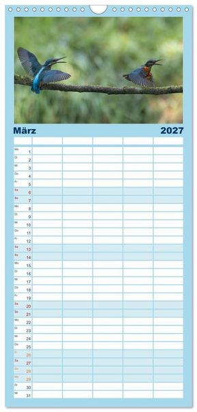 Produktbild: Familienplaner 2027 - Alcedo atthis. Der Eisvogel mit 5 Spalten (Wandkalender, 21 x 45 cm) CALVENDO