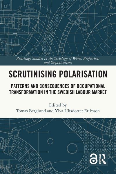 Produktbild: Scrutinising Polarisation