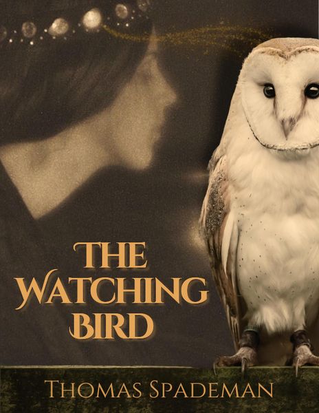 Produktbild: The Watching Bird