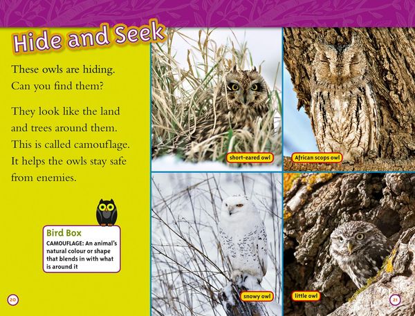 Produktbild: Owls