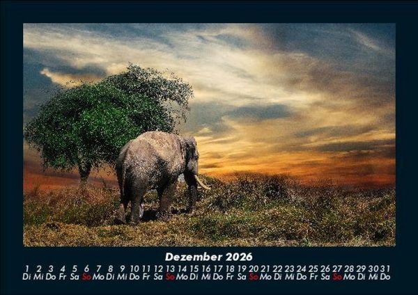 Produktbild: Der Elefantenkalender 2026 Fotokalender DIN A5