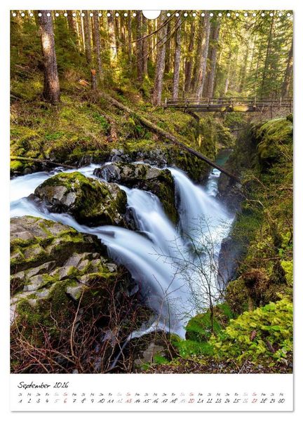 Produktbild: Weltnaturerbe Olympic National Park (Wandkalender 2026 DIN A3 hoch), CALVENDO Monatskalender