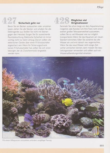 500 Tipps und Tricks zur Meerwasser-Aquaristik' von 'Dave Garratt' - Buch -  '978-3-86659-026-7