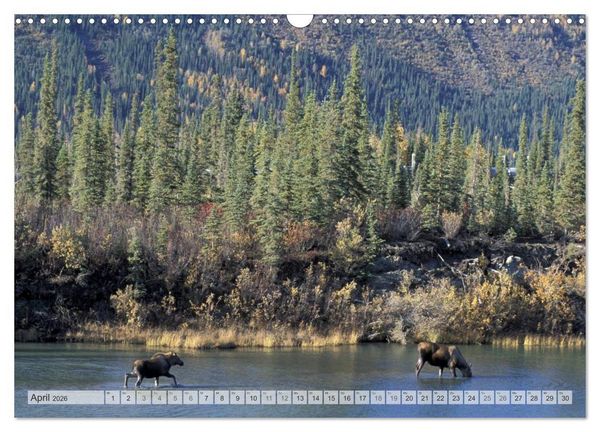 Produktbild: Wildes Alaska Christian Heeb (Wandkalender 2026 DIN A3 quer), CALVENDO Monatskalender