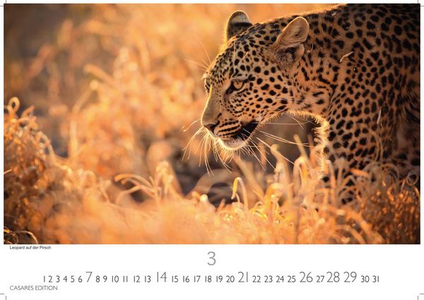 Produktbild: S&uuml;dafrika Kalender 2027 &ndash; Wandkalender | Fotokalender Afrika 24x35 cm - . mit atemberaubenden Natur- und Tierkalenderaufnahmen.