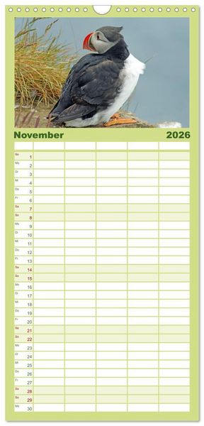 Produktbild: Familienplaner 2026 - Papageitaucher - Clowns der nordischen Vogelwelt mit 5 Spalten (Wandkalender, 21 x 45 cm) CALVENDO