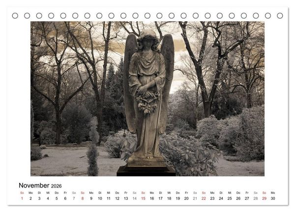 Produktbild: your guardian angel - Dein Schutzengel f&uuml;r jeden Tag (Tischkalender 2026 DIN A5 quer), CALVENDO Monatskalender