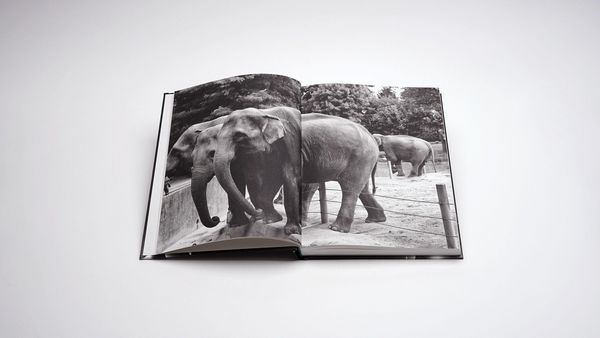 Produktbild: Markus Vater &ndash; Objects of Significance