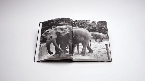 Produktbild: Markus Vater &ndash; Objects of Significance