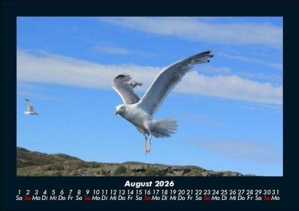 Produktbild: Nordsee 2026 Fotokalender DIN A5