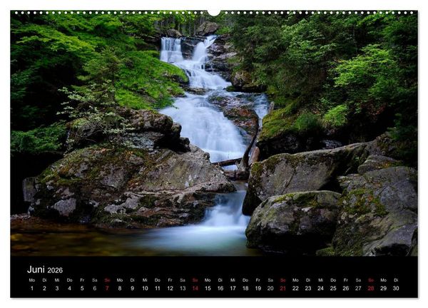 Produktbild: Mysterium Wald (hochwertiger Premium Wandkalender 2026 DIN A2 quer), Kunstdruck in Hochglanz