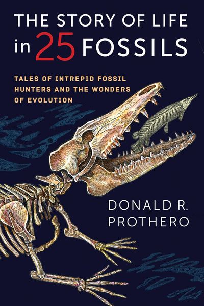 Produktbild: The Story of Life in 25 Fossils