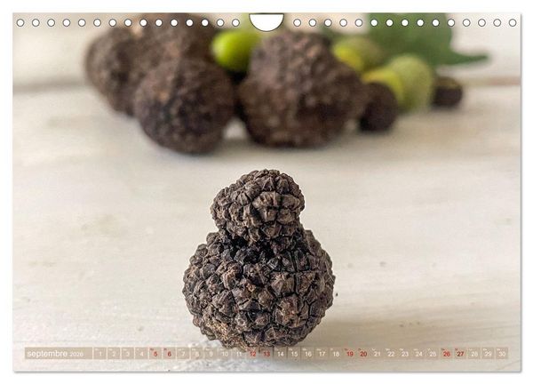 Produktbild: Tr&eacute;sors de truffes fran&ccedil;aises (Calendrier mural 2026 DIN A4 vertical), CALVENDO calendrier mensuel