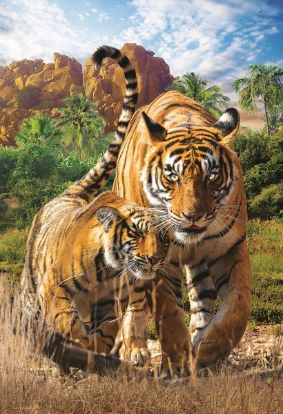 Produktbild: Kinder Puzzle 250 Teile - Tigers