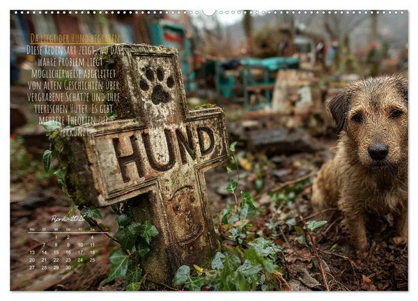 Produktbild: Nicht 08/15 - Deutsche Redewendungen und ihre Herkunft (hochwertiger Premium Wandkalender 2026 DIN A2 quer), Kunstdruck in Hochglanz