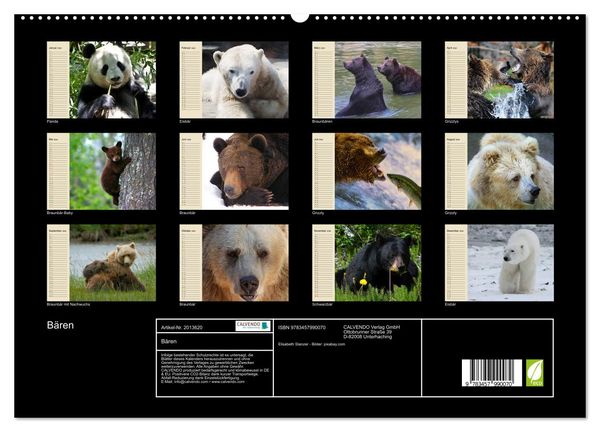 Produktbild: B&auml;ren (hochwertiger Premium Wandkalender 2026 DIN A2 quer), Kunstdruck in Hochglanz