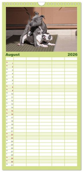 Produktbild: Familienplaner 2026 - Pit Bull und Co. - Geliebt, gef&uuml;rchtet, missverstanden mit 5 Spalten (Wandkalender, 21 x 45 cm) CALVENDO