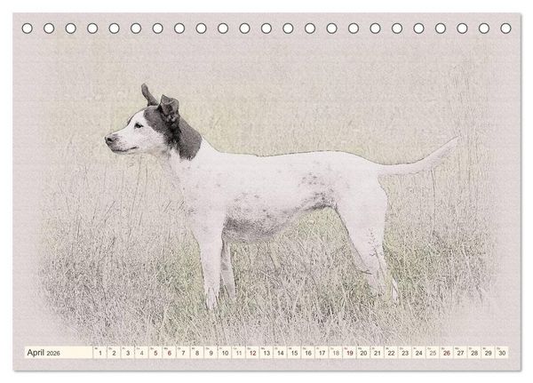 Produktbild: Bodeguero Andaluz 2026 (Tischkalender 2026 DIN A5 quer), CALVENDO Monatskalender