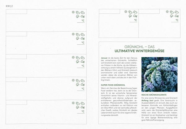 Produktbild: Planen, s&auml;en, ernten &ndash; Mein Biogem&uuml;se-Gartenjahr