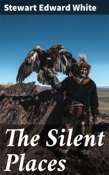 Produktbild: The Silent Places