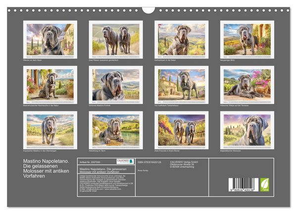 Produktbild: Mastino Napoletano. Die gelassenen Molosser mit antiken Vorfahren (Wandkalender 2026 DIN A3 quer), CALVENDO Monatskalender