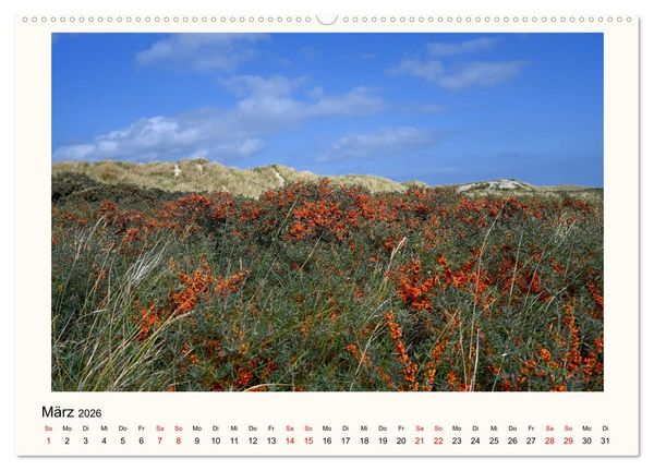Produktbild: Borkum - Ruhig inmitten der Wogen (hochwertiger Premium Wandkalender 2026 DIN A2 quer), Kunstdruck in Hochglanz