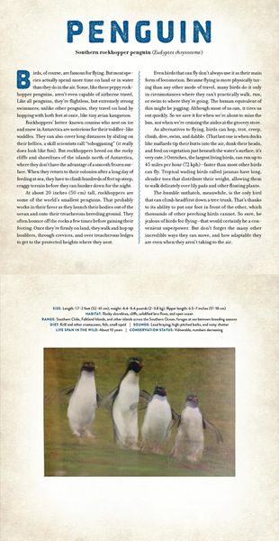 Produktbild: Birds