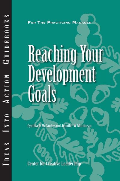Produktbild: Reaching Your Development Goals