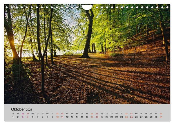 Produktbild: Joachimsthal am Rand der Schorfheide (Wandkalender 2026 DIN A4 quer), CALVENDO Monatskalender