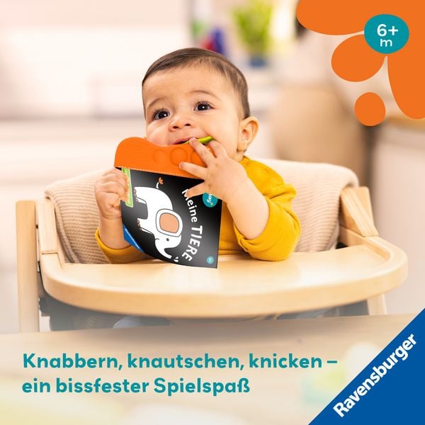 Produktbild: Play+ flip&pop Meine Tiere - ab 6 Monate