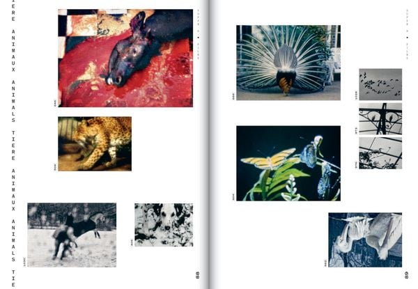 Produktbild: Helga Fanderl
