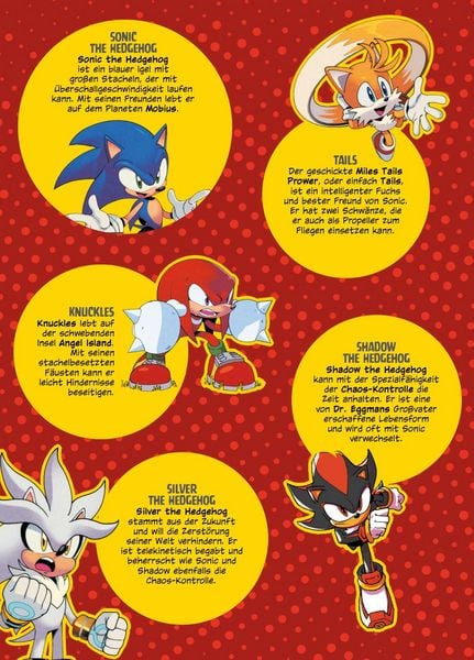 Produktbild: DC x Sonic The Hedgehog