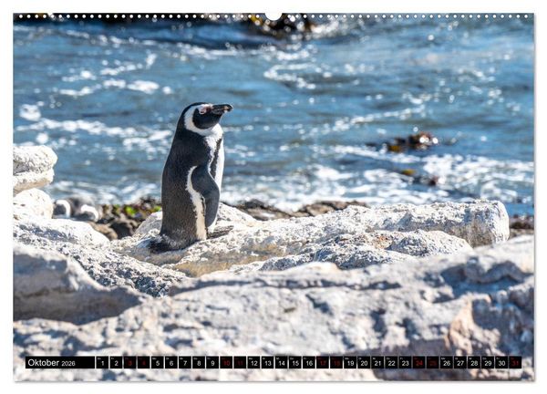 Produktbild: S&uuml;dafrika - Urlaubsimpressionen (Wandkalender 2026 DIN A2 quer), CALVENDO Monatskalender