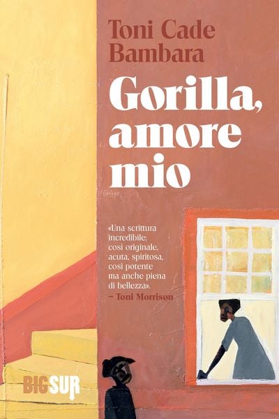 Produktbild: Gorilla, amore mio