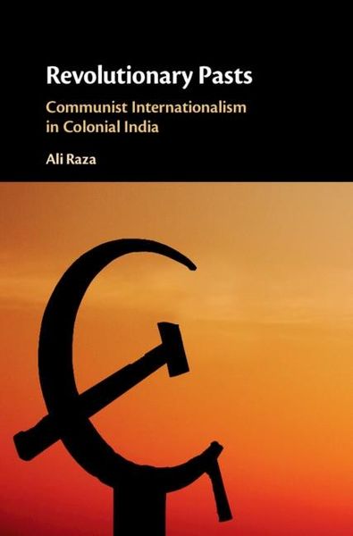 Produktbild: Revolutionary Pasts