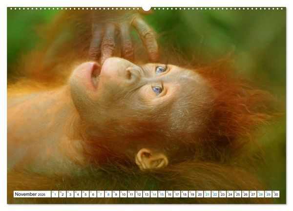 Produktbild: Farbenfestival der Tiere - Artwork (Wandkalender 2026 DIN A2 quer), CALVENDO Monatskalender